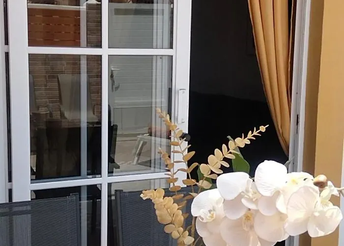 Casa Macon Gold 公寓 科斯塔卡莱塔